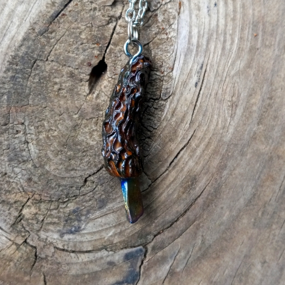 🍄🍄😃Handmade Morel Mushroom Pendant with silver chain!!